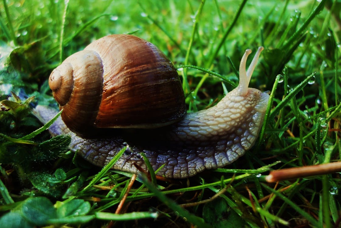 Online Ads Are Slowing web Page Loading Speed